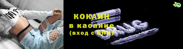 прущие грибы Балахна