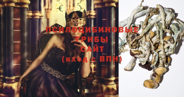 прущие грибы Балахна